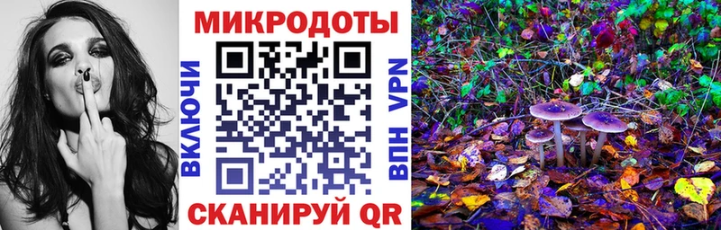 дарнет шоп  Усть-Джегута  Галлюциногенные грибы GOLDEN TEACHER 