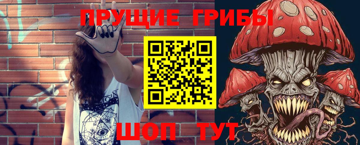 Галлюциногенные грибы Psilocybe  Галлюциногенные грибы GOLDEN TEACHER  Усть-Джегута  Вход с VPN 